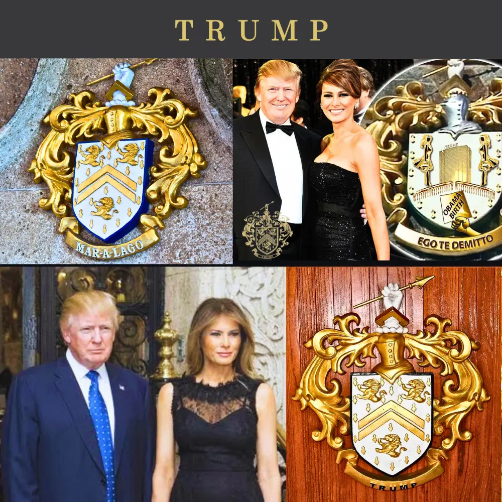 フーデッドパーカー [TRUMPエンブレム]STHD-01[ネイビー] - 画像 (10)