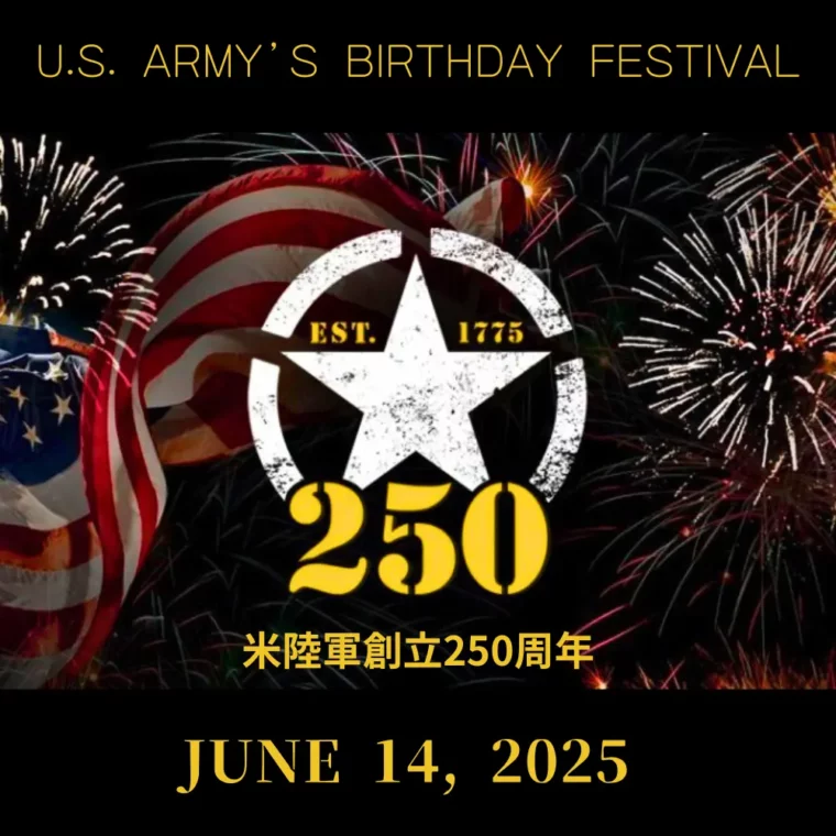 [US ARMY]米陸軍創立250周年記念Tシャツ[黒][AMAT-01] - 画像 (2)