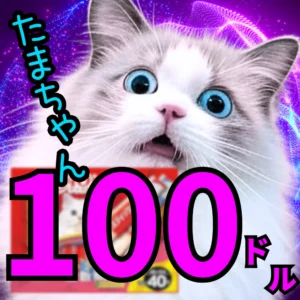 たまちゃん 100